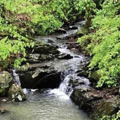 Secluded Home with Mini Waterfall and a Creek in Hot Springs