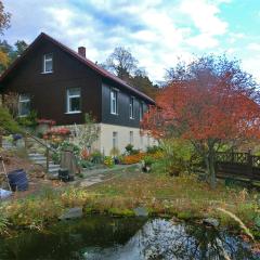 Spacious apartment in Harz near ski area