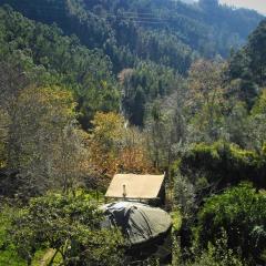 Green Man yurt