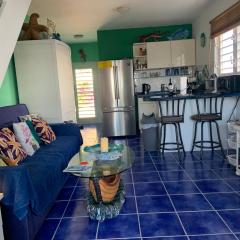 Oceanfront Townhome in Marazul Dive Resort