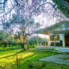 Nafpaktos cottage by the sea for travelers and dreamers!