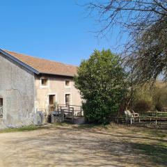 Gîte chaleureux au bord d'un ruisseau avec grand jardin, proche Metz et Nancy - FR-1-584-64