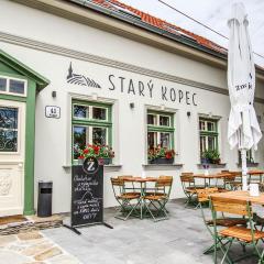 Penzion a bistro Starý kopec