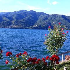 Lejla apartmani - Jablaničko jezero