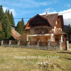 Poiana dintre Brazi Chalet, Bucegi Panorama