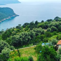 Villa Alemdaroğlu Secret Garden