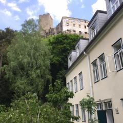 Schöne Wohnung im Helenental