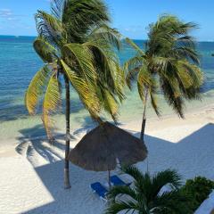 Tropical apartment