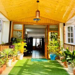 Sai Cottage Shimla