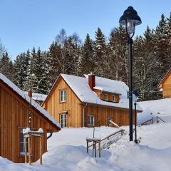 Ferienhaeuser im Schierke Harzresort, Schierke