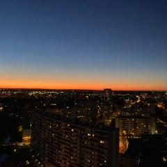 Rennes vue des Horizons