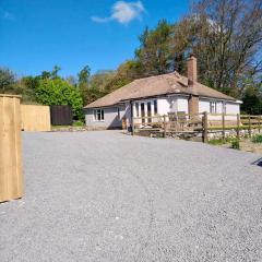 3 Bedroom Bungalow in Llanrhaeadr Ym