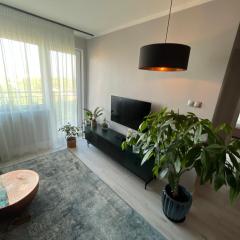 Apartament z widokiem - BlaBlaFlat Szczecin Ku Słońcu