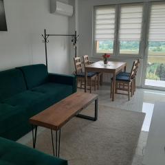 Apartament na 9. piętrze