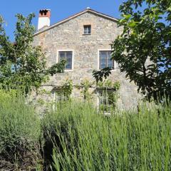 A lovely house in Vipava valley