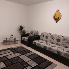 Apartament Ioana