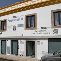 Ammaia AL