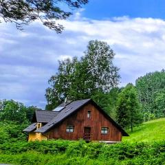 Apartmán u Ještěrky se saunou v ceně, Rejvízská 29, Jeseník