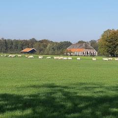 B&B Joostink in Vorden