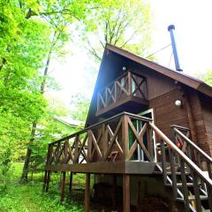 HARUNA LODGE - Vacation STAY 12175