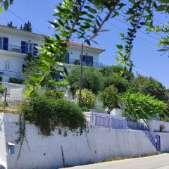 Blue and White Apartments