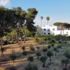 Masseria Filippo de Raho - Agri Bio Relais