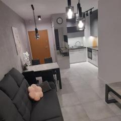 Apartament Helsinki Jastrzębia Góra