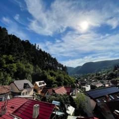 Dream House Brasov