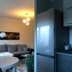 Cozy apartment near the city centre and Emajõgi, free parking, contact-free entrance