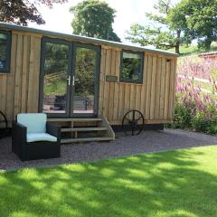 Little Acorn - Luxury shepherd's hut / lodge with private hot tub and garden