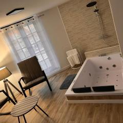 Magnifique Loft 35m2 Jacuzzi RVB NIGHT 1