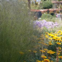 Les Jardins De Santa Giulia - Charmante chambre d'hôte