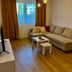 Alexander Cozy Apartment FREE PRIVATE PARKING