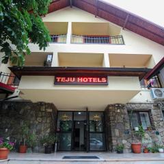 Teju Hotels