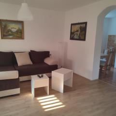 Apartman Banjica 1