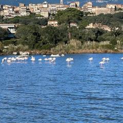 Luxe et Confort à Porto-Vecchio