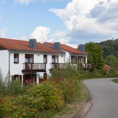 Ferienpark im schönen Falkenstein 1