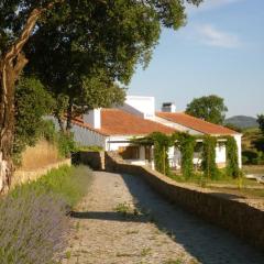 THE OLIVE PRESS - Alentejo