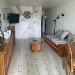 appartement des aigrettes saint gilles les bains