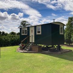 The Rowan Shepherds Hut