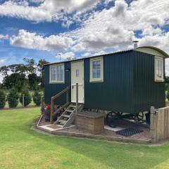 The Hawthorn Shepherds Hut