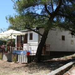 Seaside holiday house Zatoglav, Rogoznica - 13540