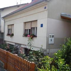 Apartments with WiFi Daruvar, Bjelovarska - 17093