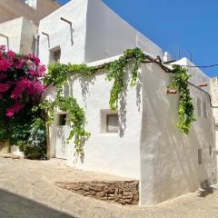 Renovated house in the historic center