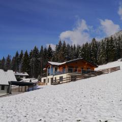 Austrian Alpine Apartments