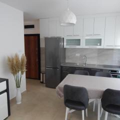 Apartman Zvezda vodilja