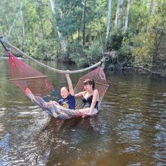 The Hammock