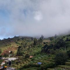 Kodai Breeze