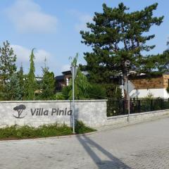 Villa Pinia