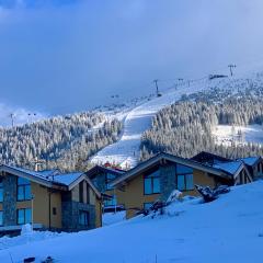 Apartman Konifer - Jacuzzi - Ski In Ski Out